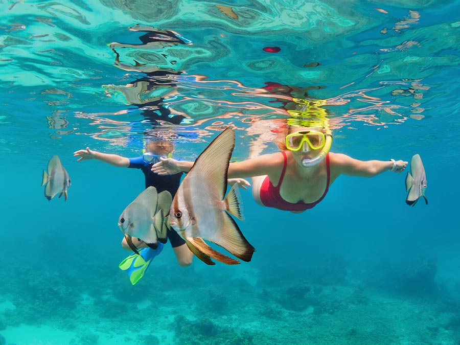 Snorkeling, The Maldives