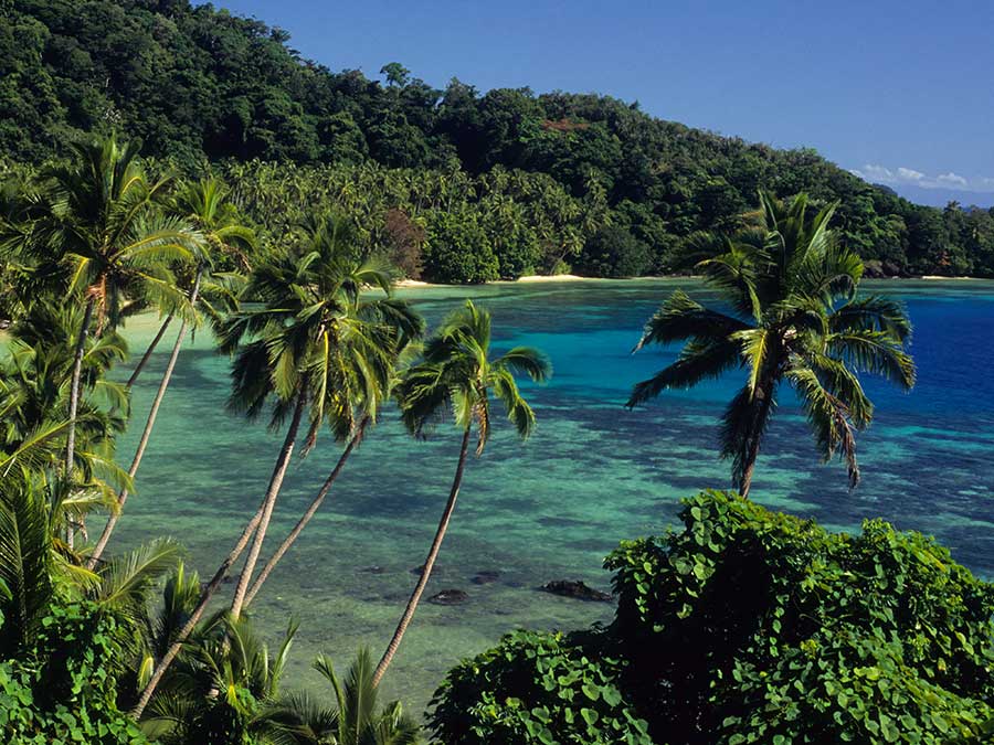 Seagrass Bay, Laucala Island