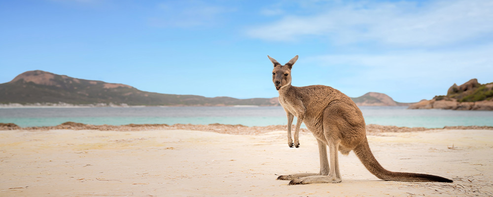 Kangaroo Island